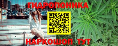 apvp Берёзовский