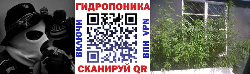 продажа наркотиков  Искитим  МАРИХУАНА гибрид 